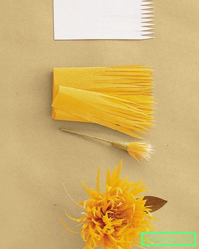 Chrysanthemum from paper