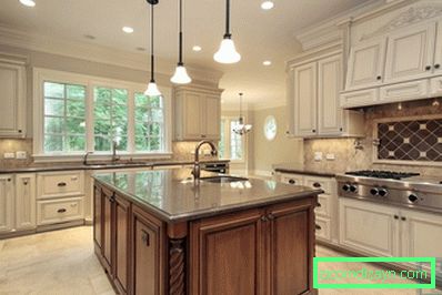 Kitchen with island - photo gallery (90 + photo examples from professional designers)