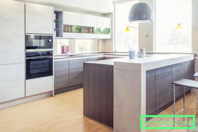 Kitchen with island - photo gallery (90 + photo examples from professional designers)